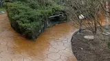 Печатный бетон -  Критис и Мексиканский камень